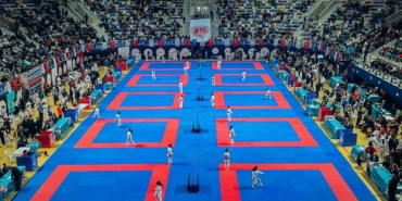 Kocaeli'den 4 sporcu milli takıma vize aldı (1)