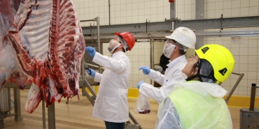 Kurban kesim başvuruları 15 Mayıs'ta başlıyor