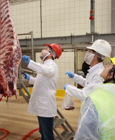 Kurban kesim başvuruları 15 Mayıs'ta başlıyor