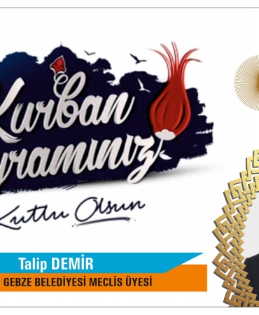 WhatsApp Image 2025-06-03 at 23.45.23 (1)