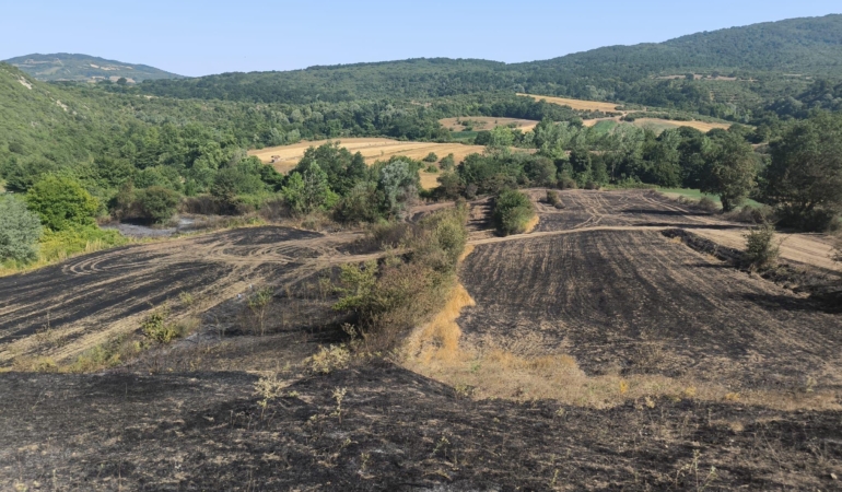 Yangında zarar gören çiftçilere gübre ve tohum desteği