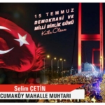 WhatsApp Image 2025-07-12 at 21.31.48