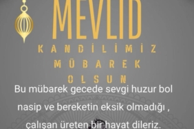 WhatsApp Image 2025-09-03 at 12.38.04