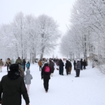 Kuzuyayla'da kar keyfi kış masalına dönüştü (2)