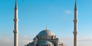 WhatsApp Image 2026-01-16 at 01.41.14