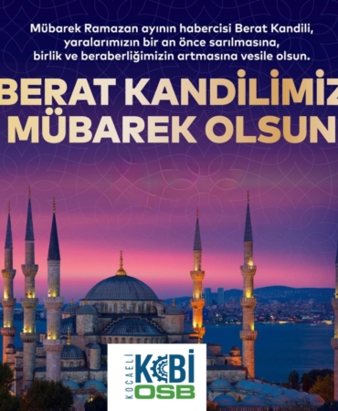 WhatsApp Image 2026-02-02 at 01.04.07 (1)