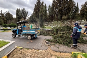 WhatsApp Image 2026-02-26 at 09.45.27 (7)