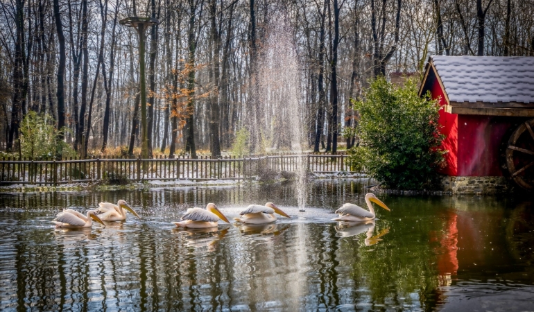 Bayramda kapınız doğaya açılsın (5) (Büyük)