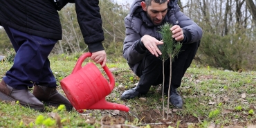 Fidanlar engelsiz hayat için dikildi (6)