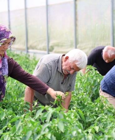 Büyükşehir’in sera desteği üretime güç kattı (10) (Büyük) kopya